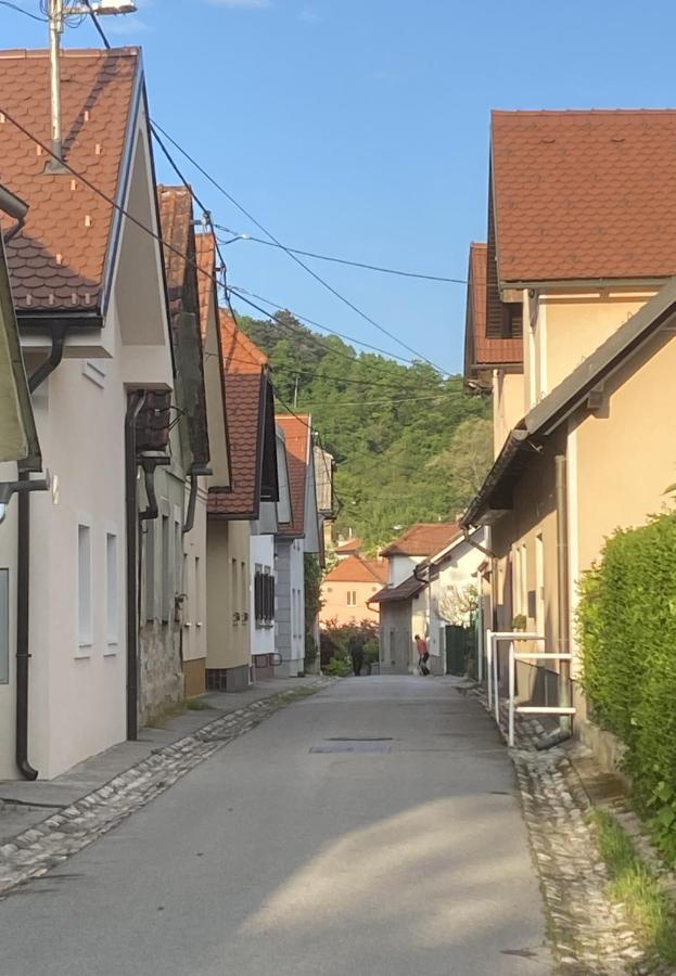 Krakovska Apartments Ljubljana Kültér fotó