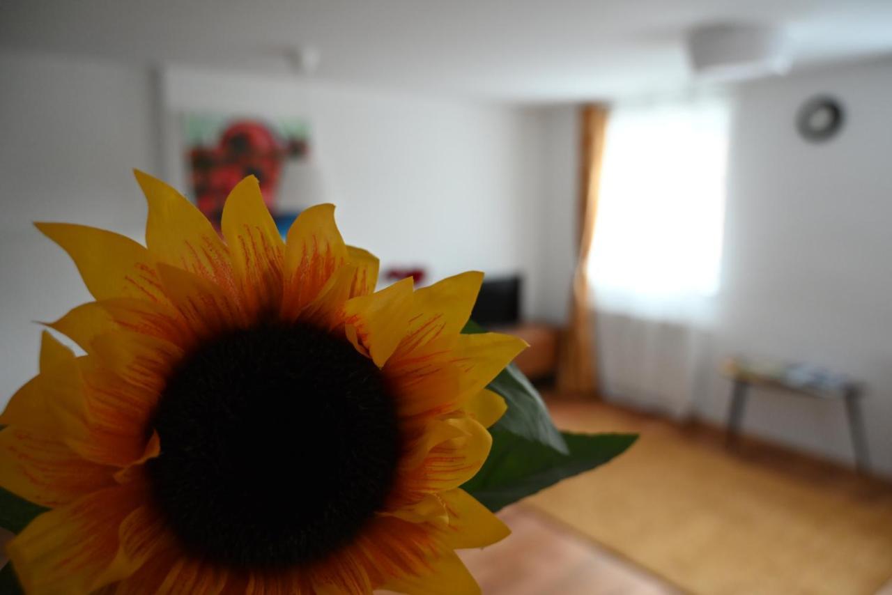 Krakovska Apartments Ljubljana Kültér fotó
